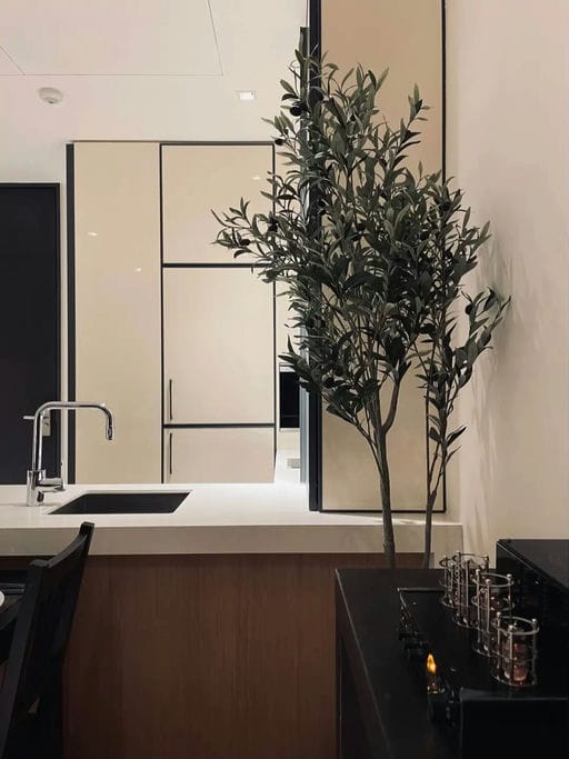 Simplex · 55 sqm — 11